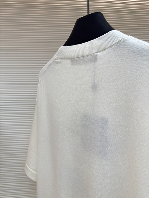 ルイヴィトン Nigo コラボレーション ボルケーノ刺繍ニット半袖Tシャツ