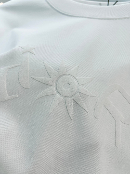 ディオール DIOR 星空ひまわりフロック刺繍レターロゴ半袖Tシャツ