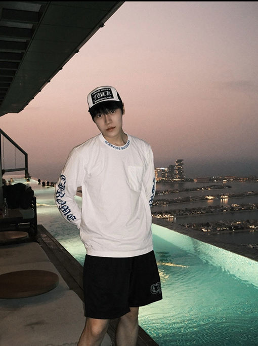 クロムハーツスーパーコピー クラシックな花柄のアームプリントと馬蹄柄の長袖シャツ