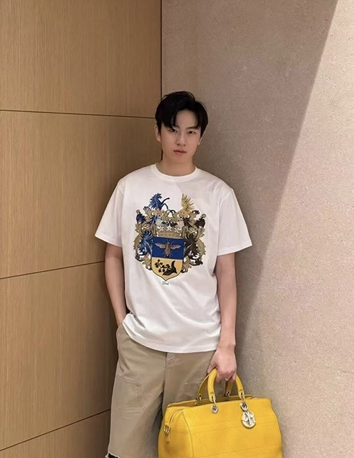 ルイヴィトン 盾型の刺繍り半袖Tシャツ