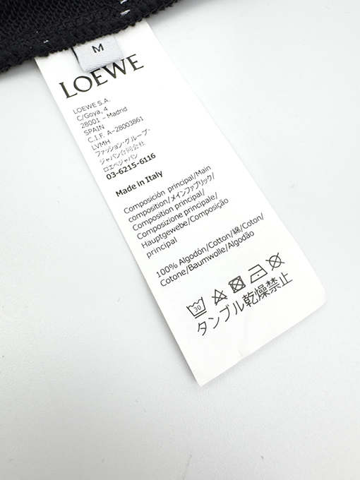ロエベ プリント柄のフード付きスウェットシャツ