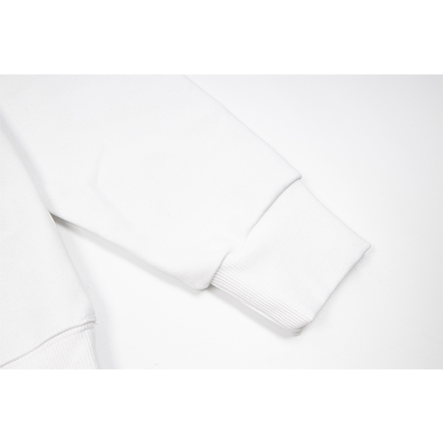 ロエベ偽物 メンズ レディース スウェットTシャツ