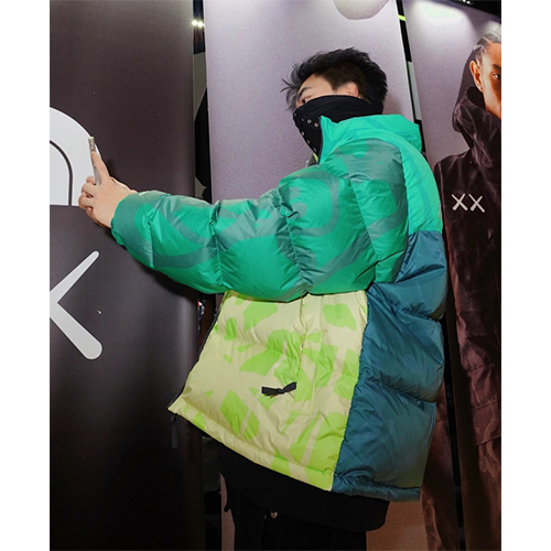 ノースフェイス × KAWS コラボ ダウンジャケット 高品質