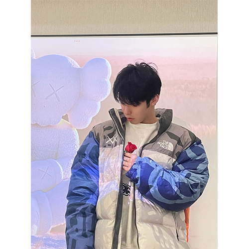 ノースフェイス × KAWS コラボ ダウンジャケット 高品質