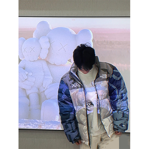 ノースフェイス × KAWS コラボ ダウンジャケット 高品質