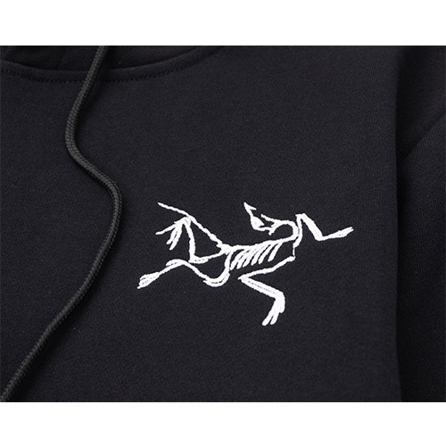 パレス × ARCTERYX スーパーコピー フード Tシャツ パーカー