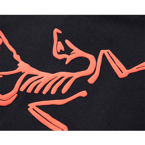 パレス × ARCTERYX スーパーコピー フード Tシャツ パーカー