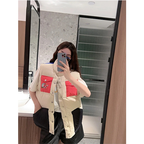 グッチ × ノースフェイス コラボ 偽物  秋冬　ダウンベスト 高品質