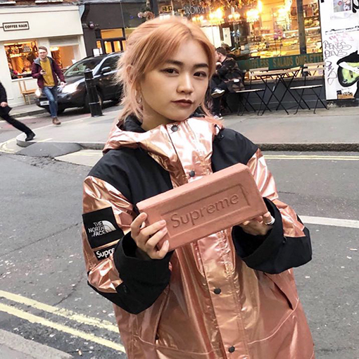 シュプリーム TNF X Supreme 18ss Metallic Packコラボ ジャケットアウター ✶ピンク・ゴールド ✶ S~XL ✶
