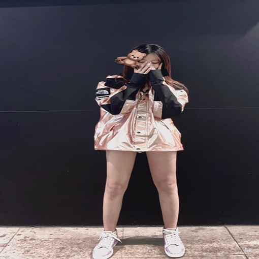 シュプリーム TNF X Supreme 18ss Metallic Packコラボ ジャケットアウター ✶ピンク・ゴールド ✶ S~XL ✶