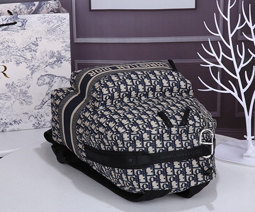 DIOR TRAVELリュックサック コピー キャンバスバック