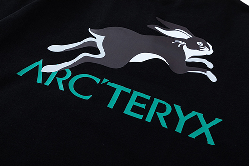 23新品!! Ayc Teryx服コピー袖 Tシャツの通販 ランニングウサギのロゴ
