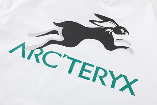 23新品!! Ayc Teryx服コピー袖 Tシャツの通販 ランニングウサギのロゴ