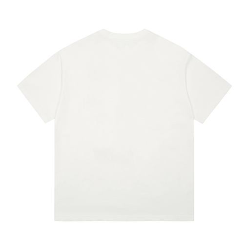 23新品!! ディオール半袖Tシャツコピー DIOR刺繍ポイント サギ年限定版 ★オーバーサイズ