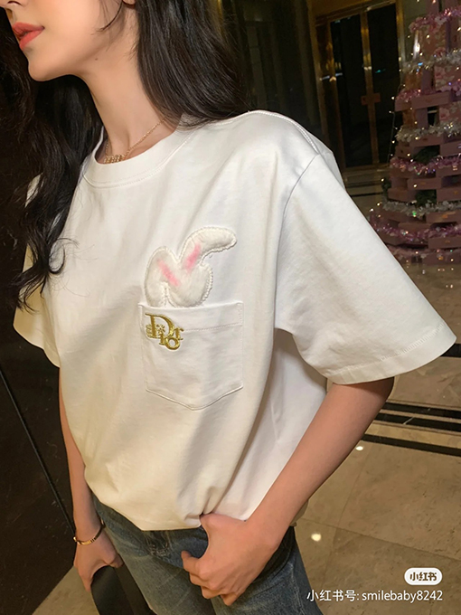 23新品!! ディオール半袖Tシャツコピー DIOR刺繍ポイント サギ年限定版 ★オーバーサイズ