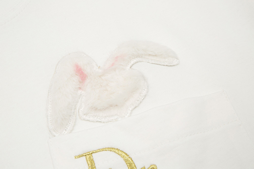 23新品!! ディオール半袖Tシャツコピー DIOR刺繍ポイント サギ年限定版 ★オーバーサイズ