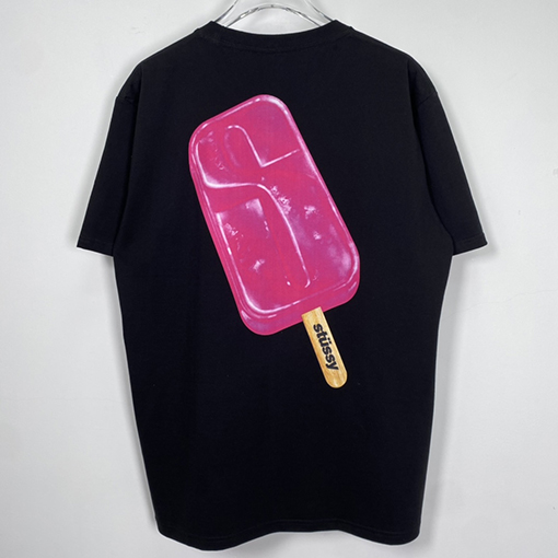 NEW ステューシー半袖 Tシャツ stussy レタリングプリント