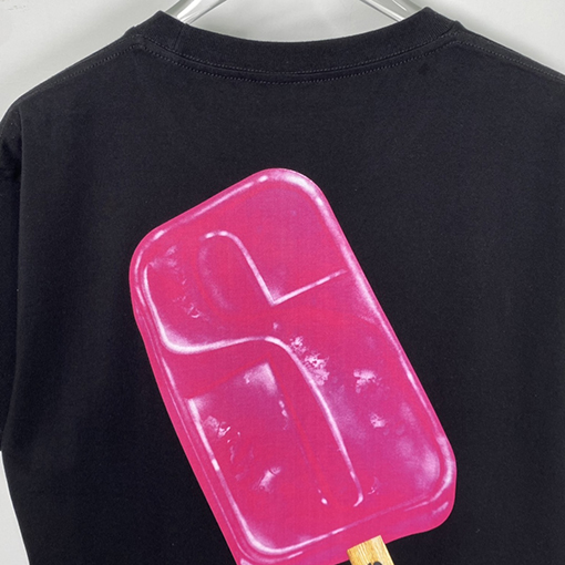NEW ステューシー半袖 Tシャツ stussy レタリングプリント