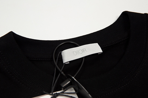 ディオール 半袖Tシャツ スーパーコピー DIOR メンズファッション通販 全2色