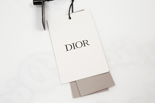ディオール 半袖Tシャツ スーパーコピー DIOR メンズファッション通販 全2色
