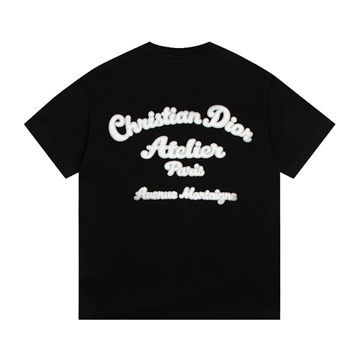 ディオール 半袖Tシャツ スーパーコピー DIOR メンズファッション通販 全2色
