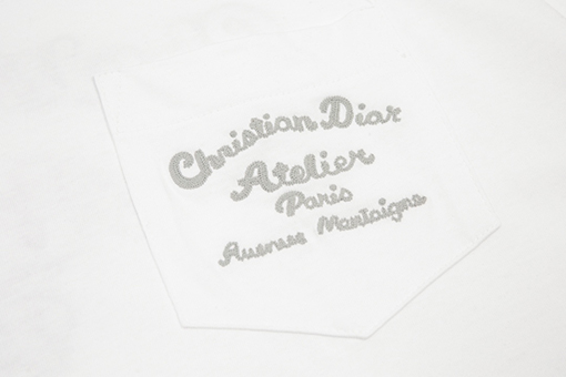 ディオール 半袖Tシャツ スーパーコピー DIOR メンズファッション通販 全2色
