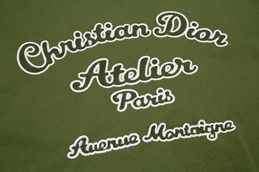 ディオール 半袖Tシャツ スーパーコピー DIOR メンズファッション通販 全2色