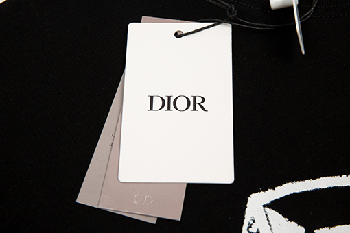 ディオール 半袖Tシャツ Fall23 TEARSシリーズ DIORロゴプリント Tシャツ