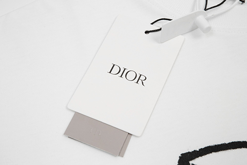 ディオール 半袖Tシャツ Fall23 TEARSシリーズ DIORロゴプリント Tシャツ