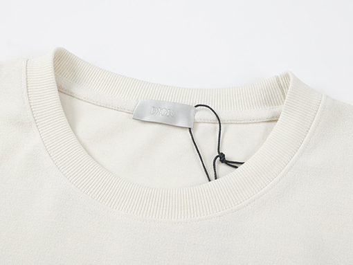 ディオール 半袖 Tシャツの通販 DIOR スーパーコピー