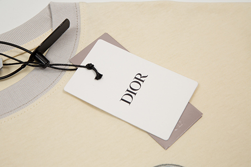 ディオール 半袖Tシャツ スーパーコピー DIOR 刺繍とカラーブロックのショートスリーブTシャツ