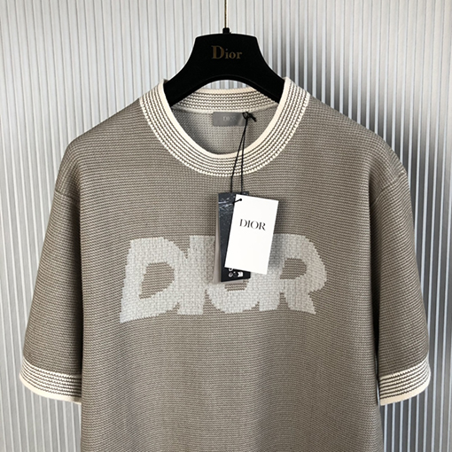 ディオール 半袖Tシャツ DIORロゴマーク刺繍短袖ニットTシャツ
