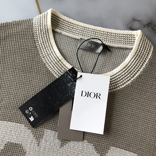 ディオール 半袖Tシャツ DIORロゴマーク刺繍短袖ニットTシャツ