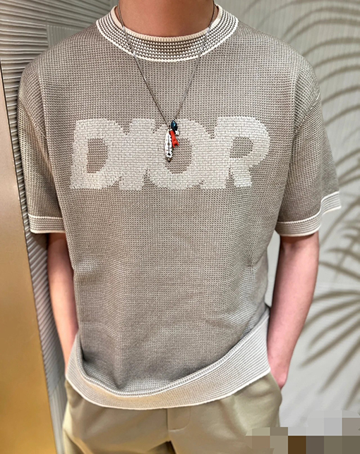ディオール 半袖Tシャツ DIORロゴマーク刺繍短袖ニットTシャツ