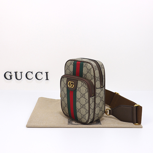 グッチ ショルダー バック GUCCI ラウン , グレー 番号752565