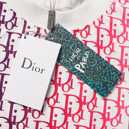 ディオール 半袖Tシャツ DIORグラデーションプリントTシャツ