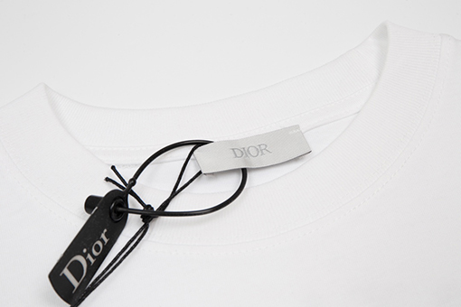 ディオール 半袖Tシャツ スーパーコピー DIOR フォームプリントロゴTシャツ