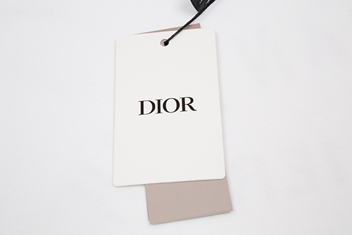 ディオール 半袖Tシャツ スーパーコピー DIOR フォームプリントロゴTシャツ