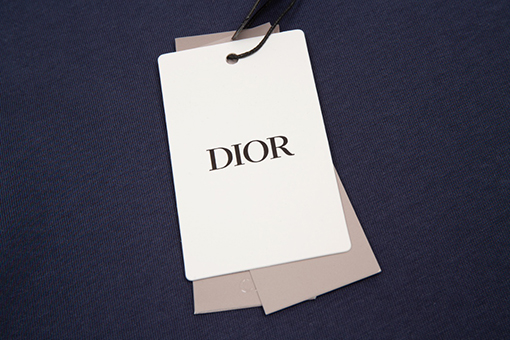 ディオール 半袖Tシャツ スーパーコピー DIOR フォームプリントロゴTシャツ