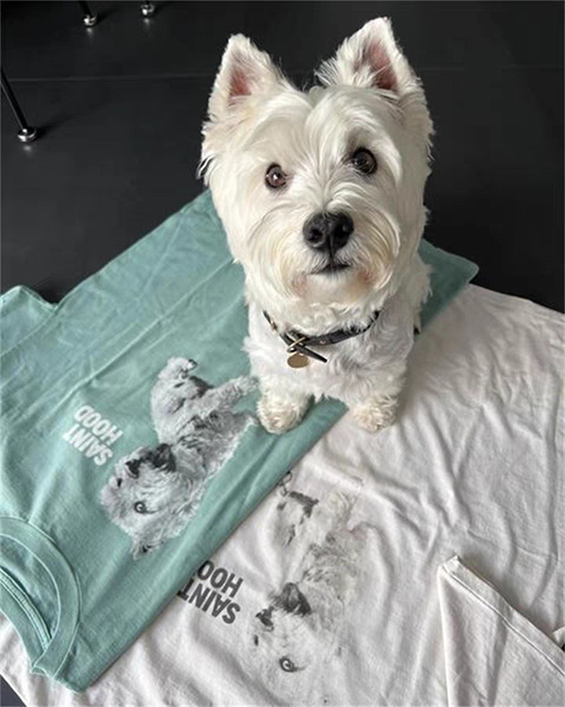 セント マイケル スーパーコピー SAINT MICHAEL X NEIGHBORHOOD コラボ 犬柄プリント半袖 クラシックなユニセックスデザイン