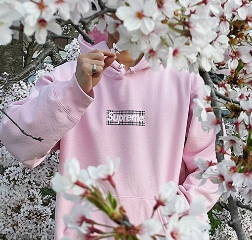 シュプリーム x バーバリー パーカー コラボ SUPREME × BURBERRY BOX LOGO フードパーカー