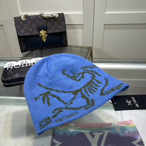 Arcteryx ニット帽子スーパーコピー  クラシックな厚手で暖かく、一流のファッション感 - 今秋冬の最高の保温名品