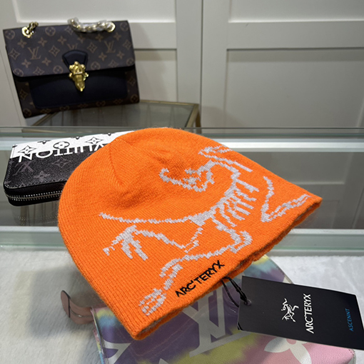 Arcteryx ニット帽子スーパーコピー  クラシックな厚手で暖かく、一流のファッション感 - 今秋冬の最高の保温名品