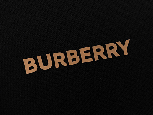 バーバリー   パーカー BURBERRY    背中にシカの模様のコットンルーズパーカーアイテム