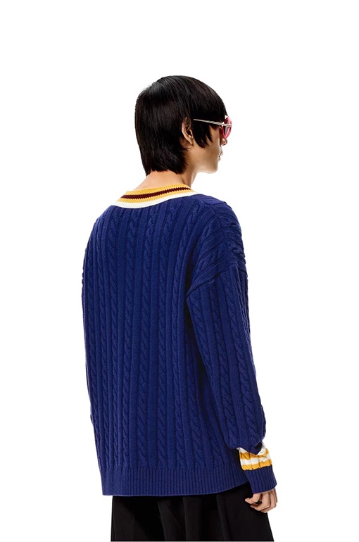 ロエベ ニット セーター LOEWEスーパーコピー ストライプとカラーブロックのVネックセーター
