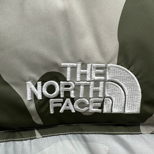 ノースフェイス X KAWSコラボレーション1996Nuptse ダウンジャケット