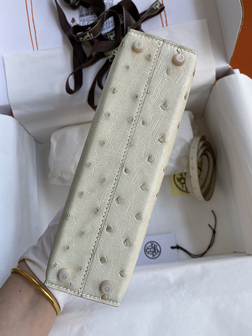 エルメス ミニケリー 19 南アフリカのKkダチョウ革氷河プラチナバックルバッグ