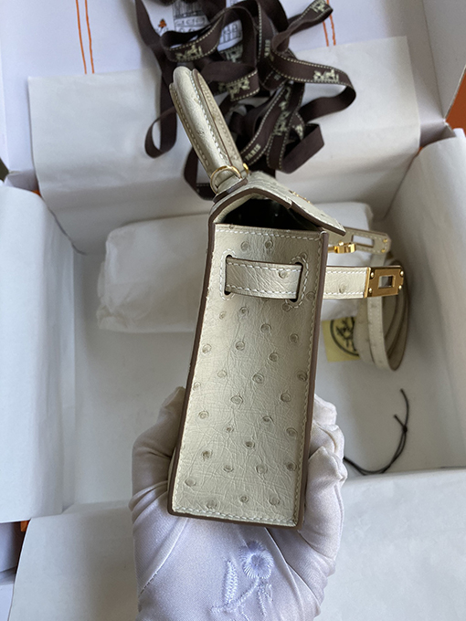 エルメス ミニケリー 19 南アフリカのKkダチョウ革氷河プラチナバックルバッグ