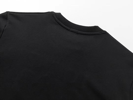 ロエベ クラシックな大型ロゴ刺繍のラウンドネックスウェット