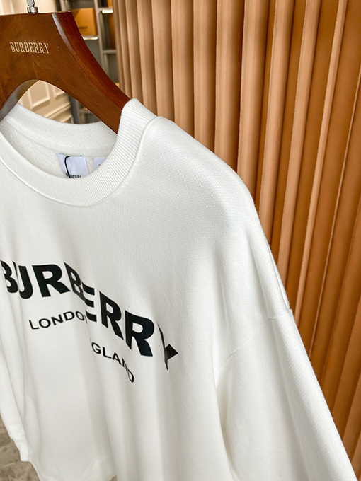 バーバリー BURBERRYプリントアルファベットパーカー